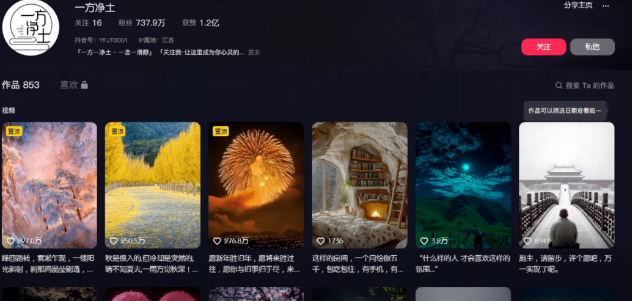 用AI批量生产治愈风景视频,不露脸不拍摄,一周涨粉10w+,月播放量破千万,保姆级实操